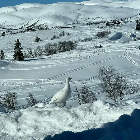 Off Grid Hytte Med Utsikt Over Fjellet Holiday home Valle (Aust-Agder)