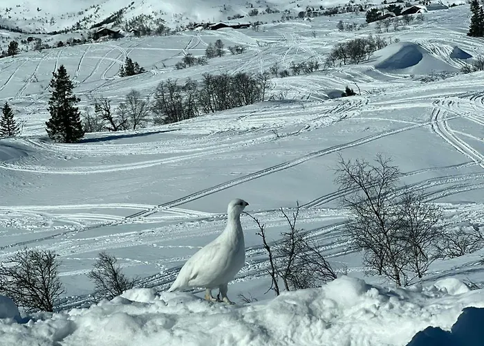 Off-grid With Mountain Views Vakantiehuis Valle (Aust-Agder)